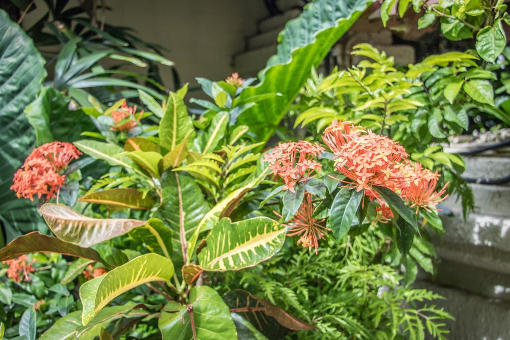 Villa Seriska Seminyak Zewnętrze zdjęcie
